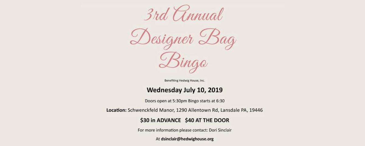 A graphic promoting an annual designer bag bingo. The flyer has the title written in a pink scrip and below has details about the event listed in black. The background is a pinkish white tone.