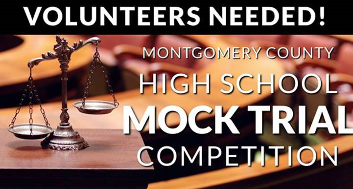 Graphic for judge for virtual mock trial competition. Background image shows a blurry court room. Scale is shown on the left.